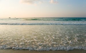 12 Waves on Jumeirah beach